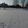 icey lake